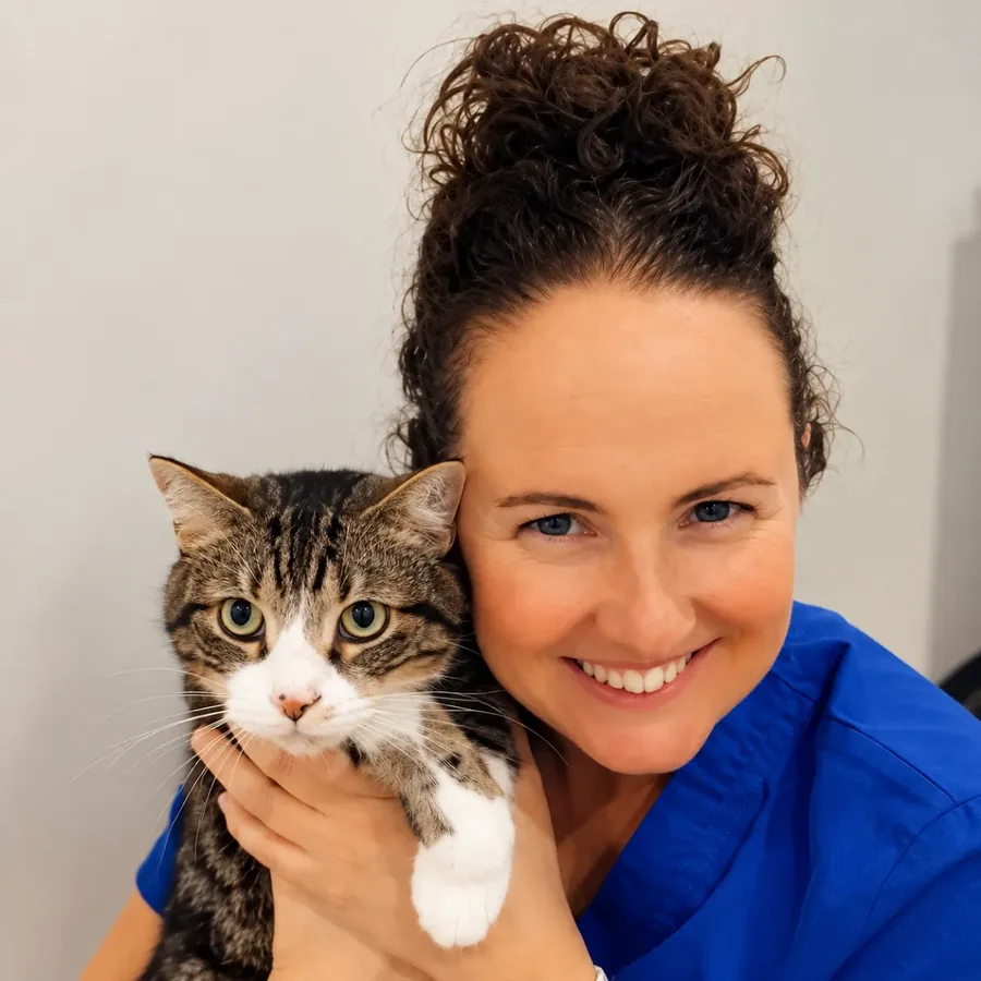 Kalamunda veterinarian Rachel Simidgi cheek to cheek with a tabby-and-white cat
